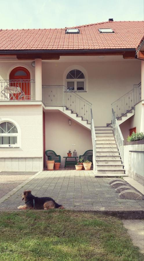 Prenocisca Angelin Hram, Tiny Apartments Markovec Bagian luar foto