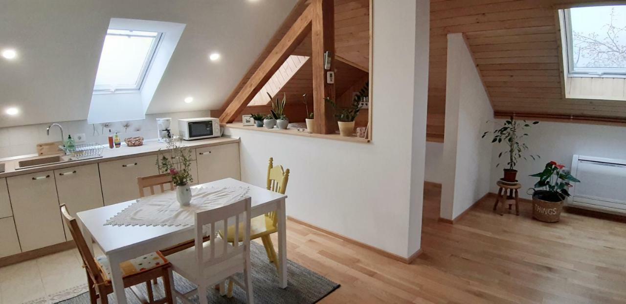 Prenocisca Angelin Hram, Tiny Apartments Markovec Bagian luar foto
